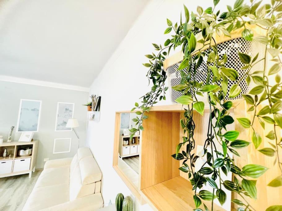 Suite Colibri - Sanremo Centro Kültér fotó