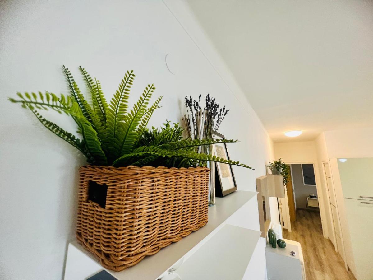 Suite Colibri - Sanremo Centro Kültér fotó